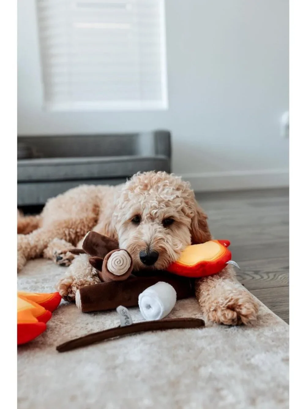 Durable Campfire Dog Toy - Squeaky Plush for Interactive Play & Fetch Fun